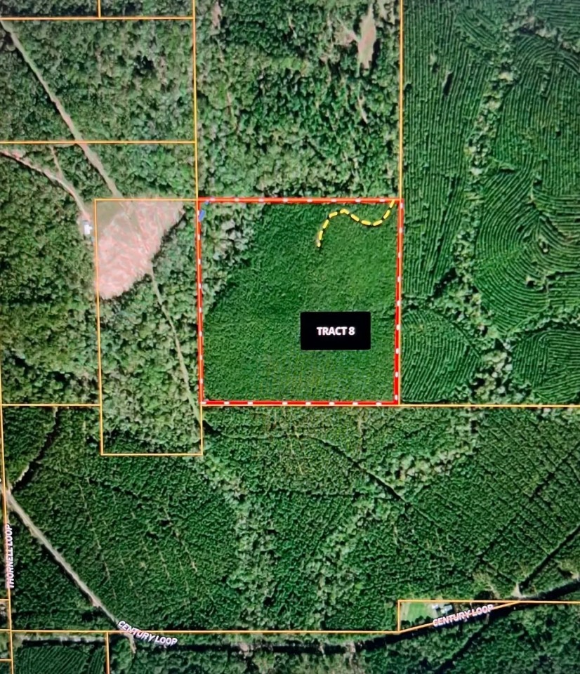 Jackson Parish Timber Tract 8 featured image