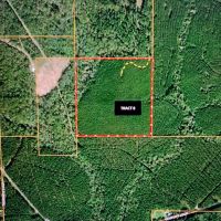 Jackson Parish Timber Tract 8