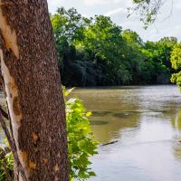 Colorado River Ranch images 3