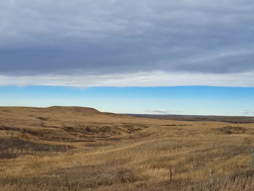 40 Acres Land for Sale Hunting Land for Sale