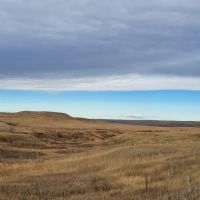 40 Acres - Land for Sale images 4