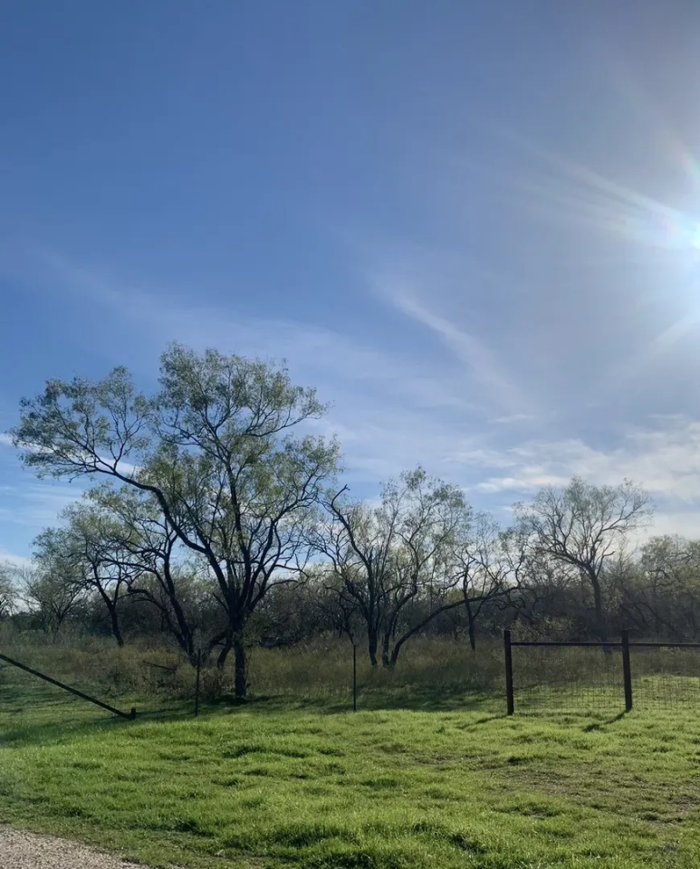 Stunning Acreage Hunting Land for Sale