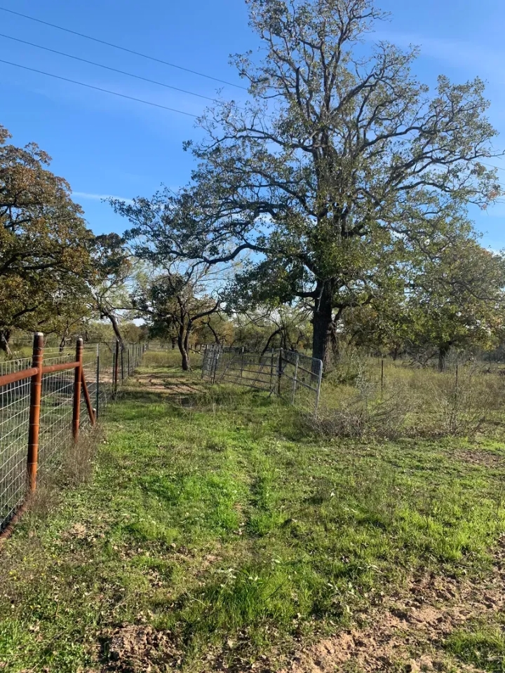 Stunning Acreage Hunting Land for Sale