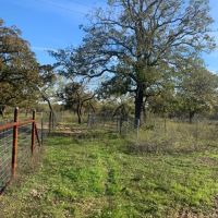 Stunning Acreage images 3