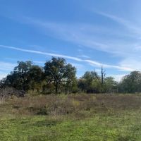 Stunning Acreage images 5