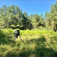285 Acres in Hancock County in Picayune MS