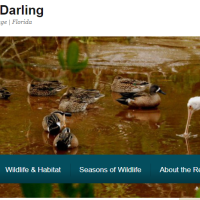 Duck hunting land at J.N. Ding Darling NWR 6,400 acres in Lee, FL