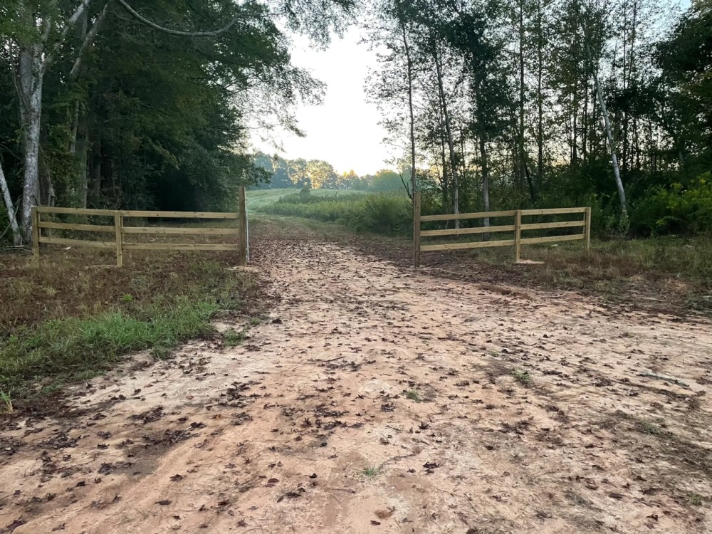 464 Acres in Winston County Mississippi featured image