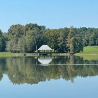 464 Acres in Winston County Mississippi images 2