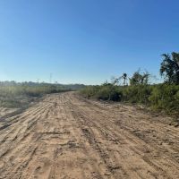 464 Acres in Winston County Mississippi images 3