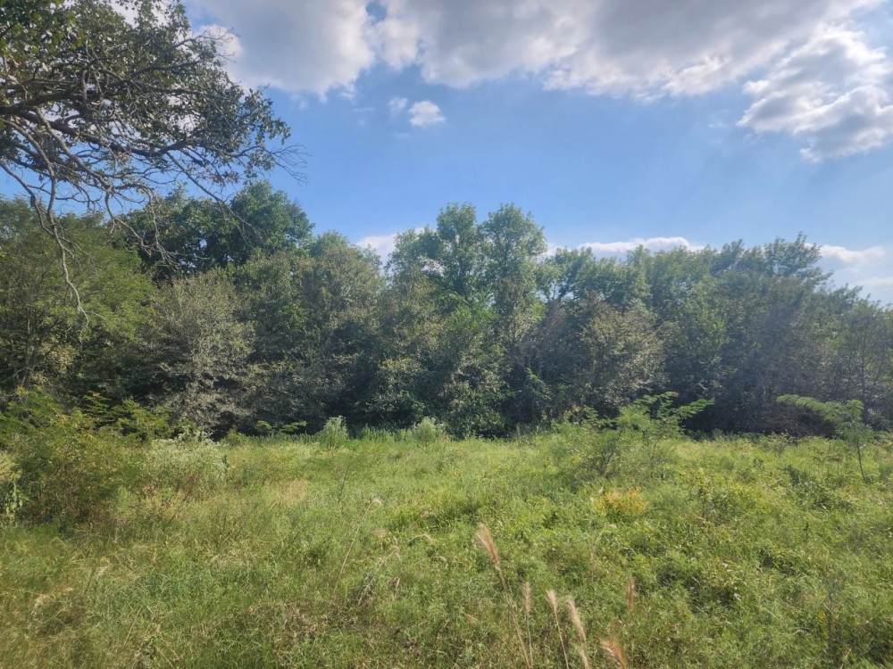 Hwy 271 Acreage featured image