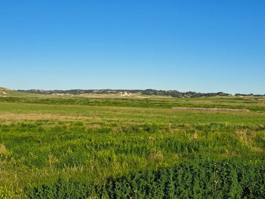 320 Acres - Nebraska Land for Sale featured image