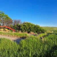 320 Acres - Nebraska Land for Sale images 4