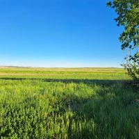 320 Acres - Nebraska Land for Sale images 5