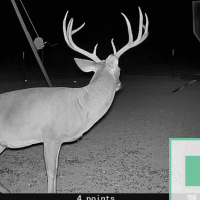 West Texas 14.500 acres
