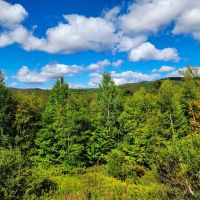 1000 Bear Mountain Camp Rd - Rupert images 4