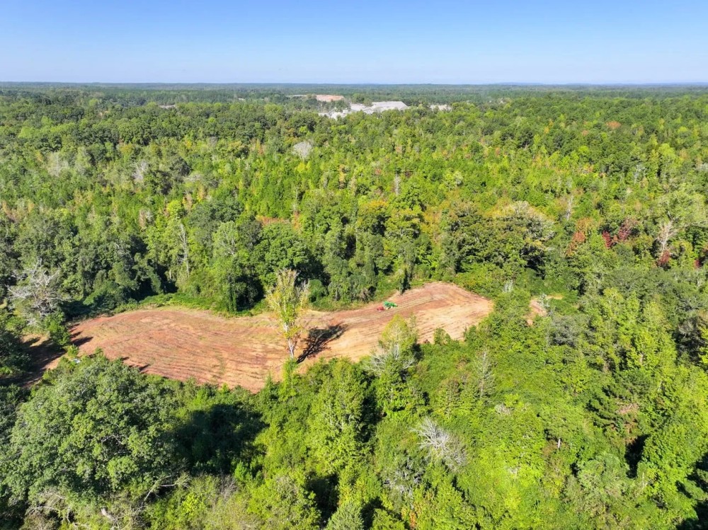 Neighbors Ridge 72 - acres in Coosa County featured image