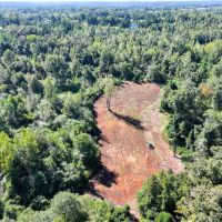 Neighbors Ridge 72 - acres in Coosa County images 3