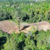 Neighbors Ridge 72 - acres in Coosa County images 4