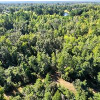 Neighbors Ridge 72 - acres in Coosa County images 5
