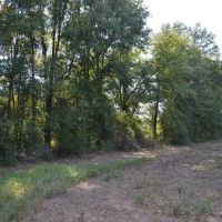 50 Acres in Independence images 3