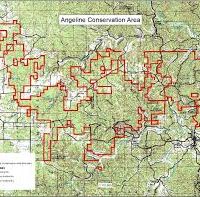 3,9582.8 Acres Angeline CA Dove and Deer Hunting Land in Shannon, MO