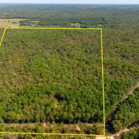 40 - Acres Cute Tiny Home Started Hunters Paradise Sharp County Evening Shade Arkansas images 2