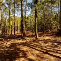 40 - Acres Cute Tiny Home Started Hunters Paradise Sharp County Evening Shade Arkansas images 3