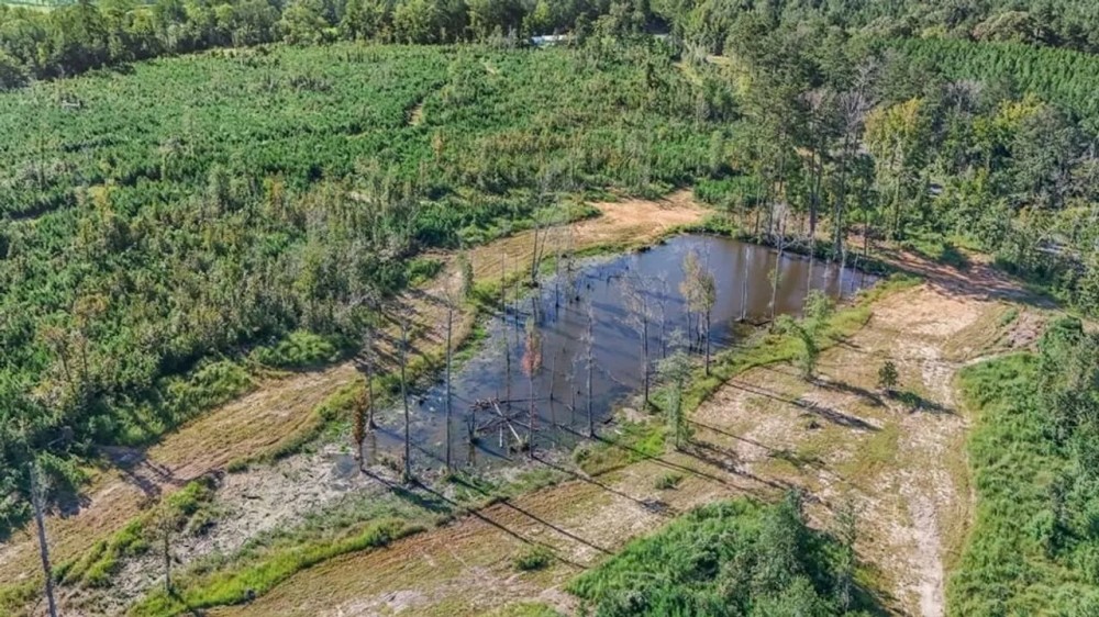 Small Hunting Tract in Amite County MS featured image