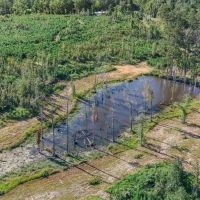 Small Hunting Tract in Amite County MS images 1