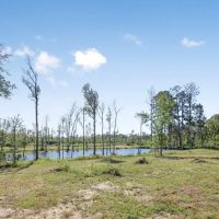 Small Hunting Tract in Amite County MS images 4