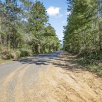 Small Hunting Tract in Amite County MS images 5
