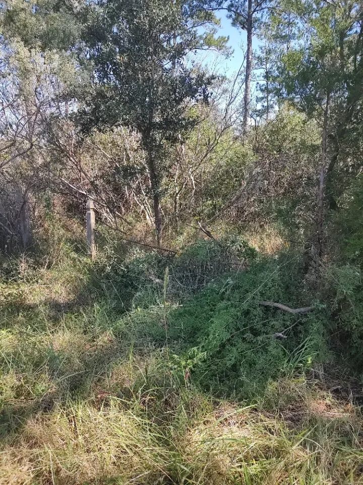Affordable Hunting Land in Eastern NC Hunting Land for Sale