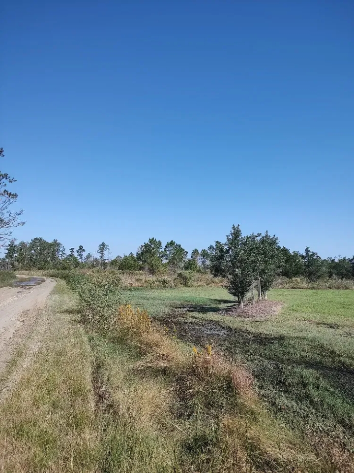Affordable Hunting Land in Eastern NC Hunting Land for Sale