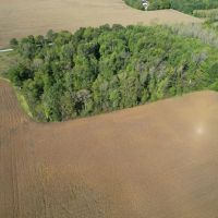 12 - Acres of Private Wooded Land in Pendleton IN images 2