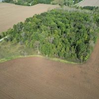 12 - Acres of Private Wooded Land in Pendleton IN images 4
