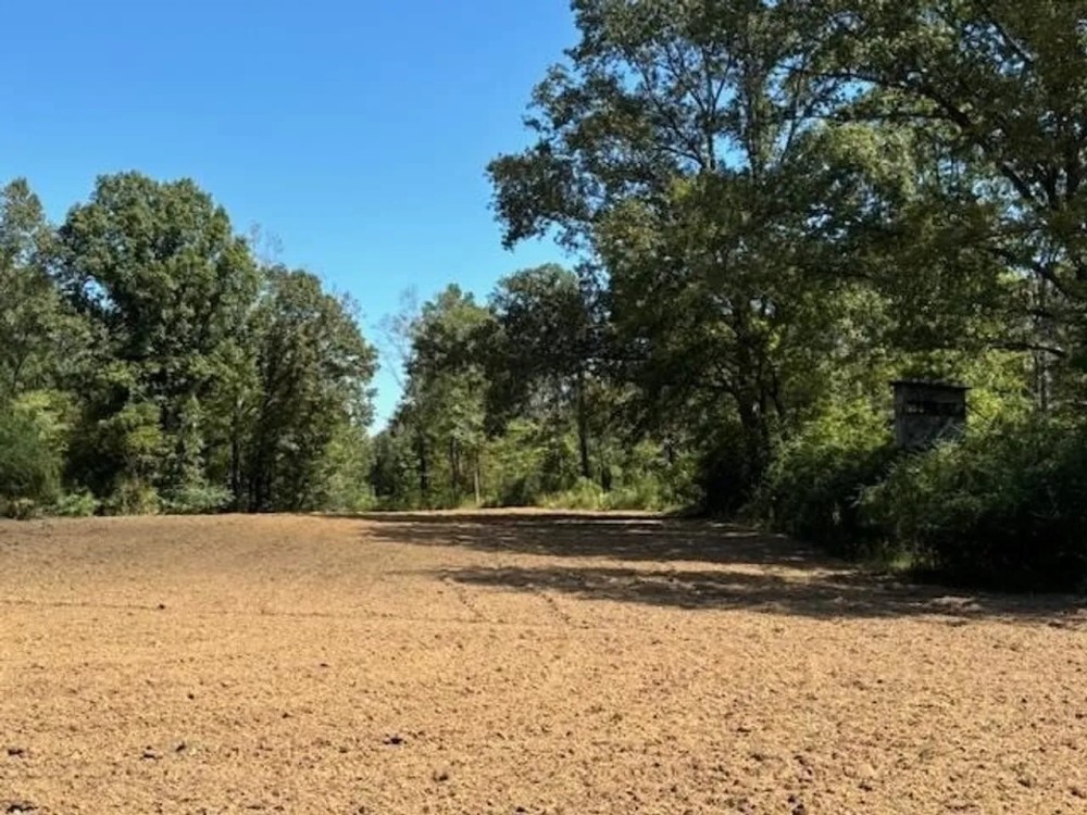 585 Acres Jefferson County Hunting Land Timber Investment featured image