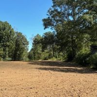 585 Acres Jefferson County Hunting Land Timber Investment