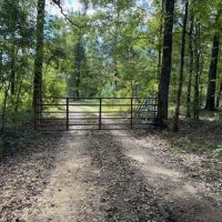 585 Acres Jefferson County Hunting Land Timber Investment images 2