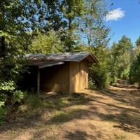 585 Acres Jefferson County Hunting Land Timber Investment images 4