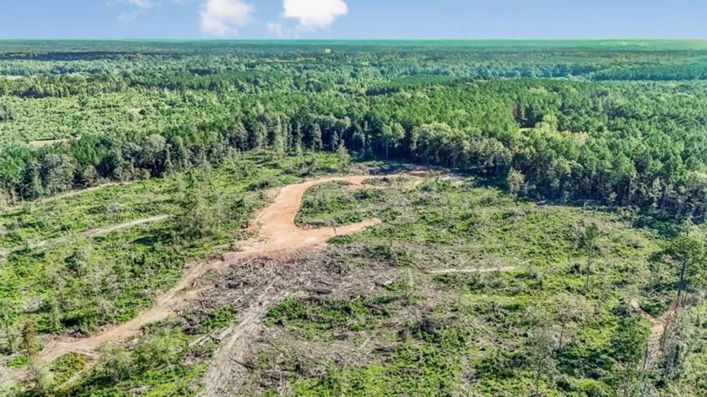Small Hunting Tract in Amite County MS featured image