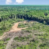 Small Hunting Tract in Amite County MS