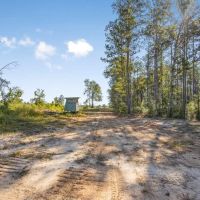 Small Hunting Tract in Amite County MS images 3