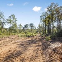 Small Hunting Tract in Amite County MS images 4