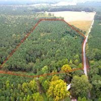 16.97 acres of Agricultural and Recreational Land For Sale in Stanly County NC images 2