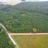 16.97 acres of Agricultural and Recreational Land For Sale in Stanly County NC images 3