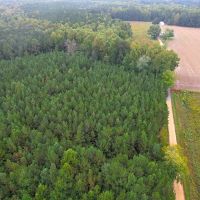 16.97 acres of Agricultural and Recreational Land For Sale in Stanly County NC images 4