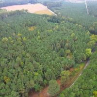 16.97 acres of Agricultural and Recreational Land For Sale in Stanly County NC images 5
