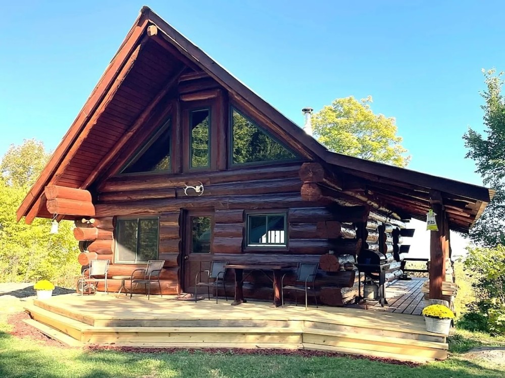 Michigan Log Cabin 80 Acres featured image