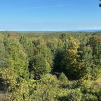 Michigan Log Cabin 80 Acres images 3
